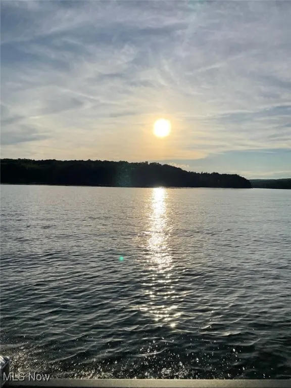 Natures natural portrait from river side deck.