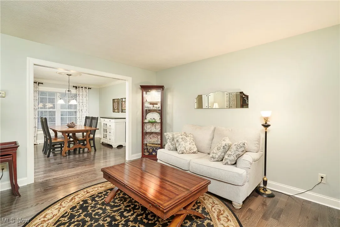 Living room with dark wood-style floors, ornamental molding, and a textured ceiling