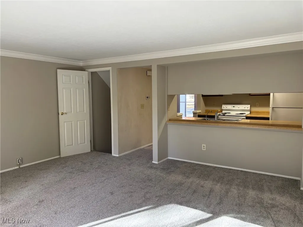 3869 Lake Run Boulevard, Stow, Ohio 44224,MLS Now Listing ID