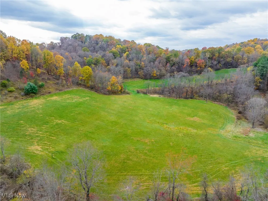 View of grassy yard with a wooded view