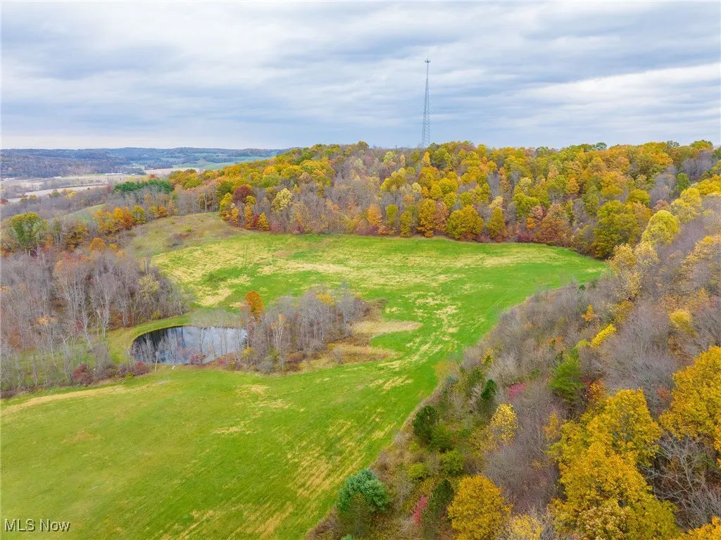 Drone / aerial view of a large body of water and a forest