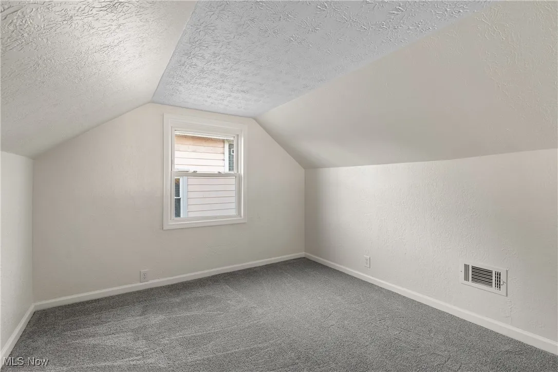 Additional living space with carpet floors, vaulted ceiling, a textured ceiling, and a textured wall