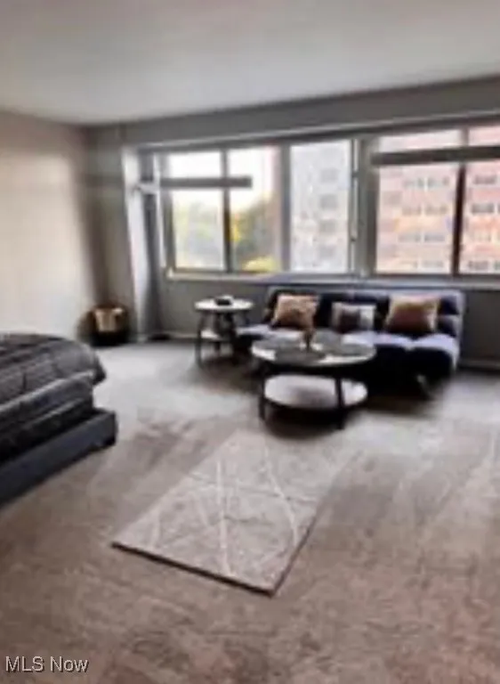 12520 Edgewater Drive # 702, Lakewood, Ohio 44107,MLS Now Listing ID