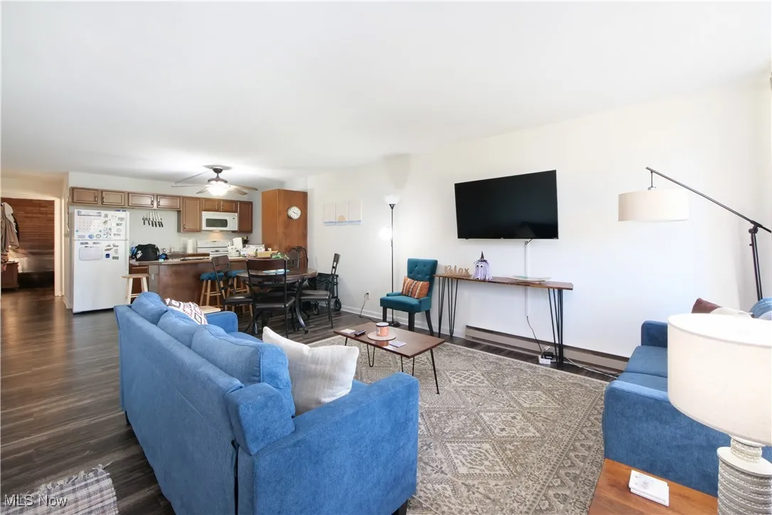 Living area featuring dark wood-style flooring, a ceiling fan, and a baseboard heating unit