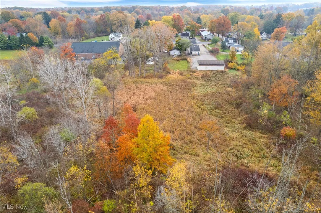 Drone / aerial view of a tree filled landscape