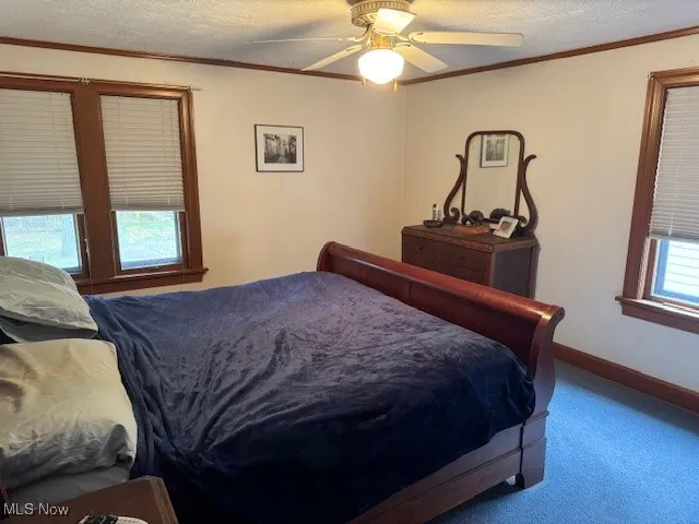 Bedroom featuring ornamental molding, carpet flooring, a textured ceiling, and ceiling​​‌​​​​‌​​‌‌​‌‌​​​‌‌​‌​‌​‌​​​‌​​ fan