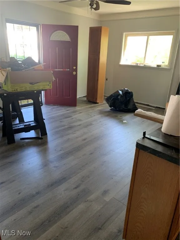 Foyer with dark wood-style flooring and ceiling fan