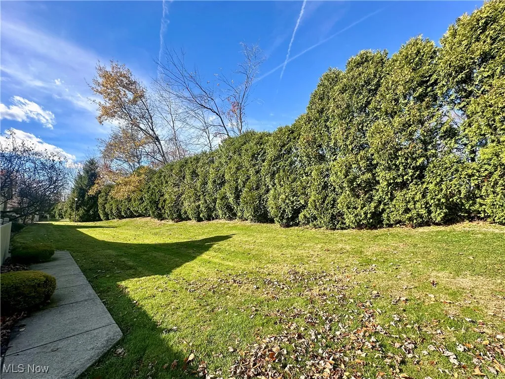 47 Woodland Chase Boulevard, Niles, Ohio 44446,MLS Now Listing ID