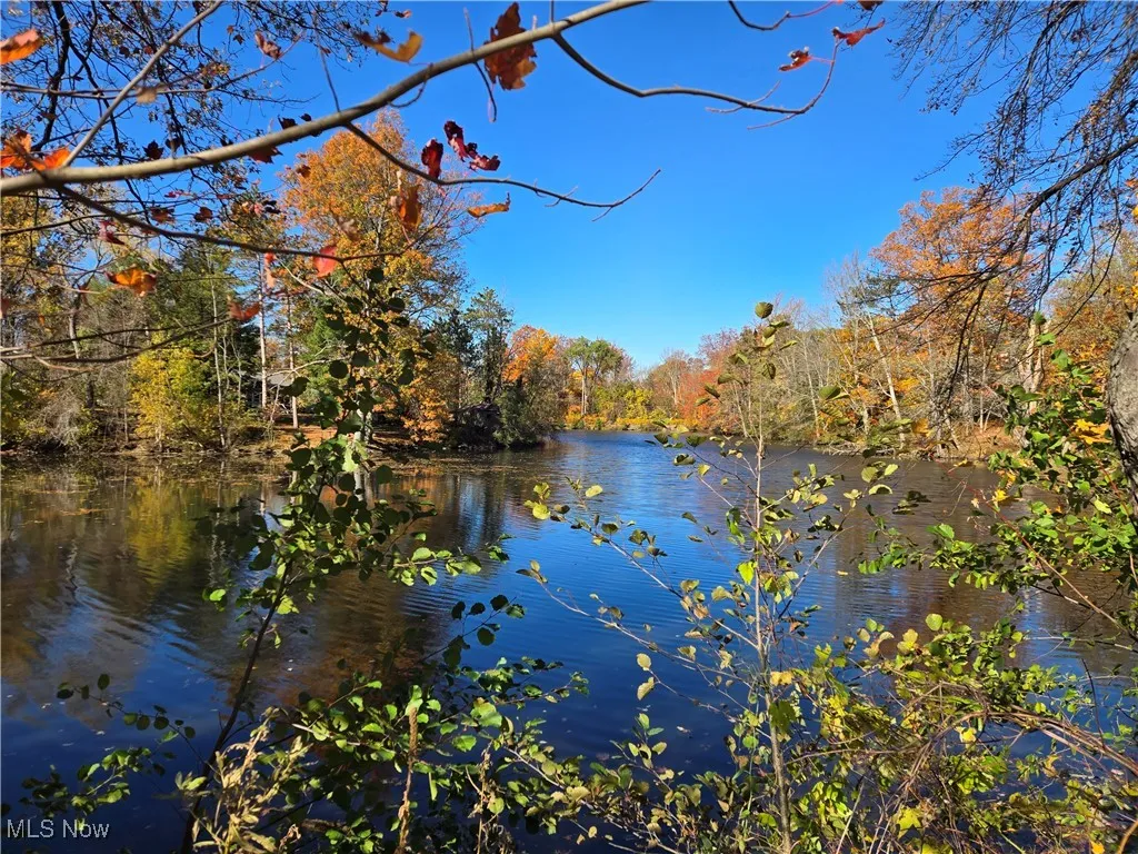 View of Palmetto Lake from back yard.