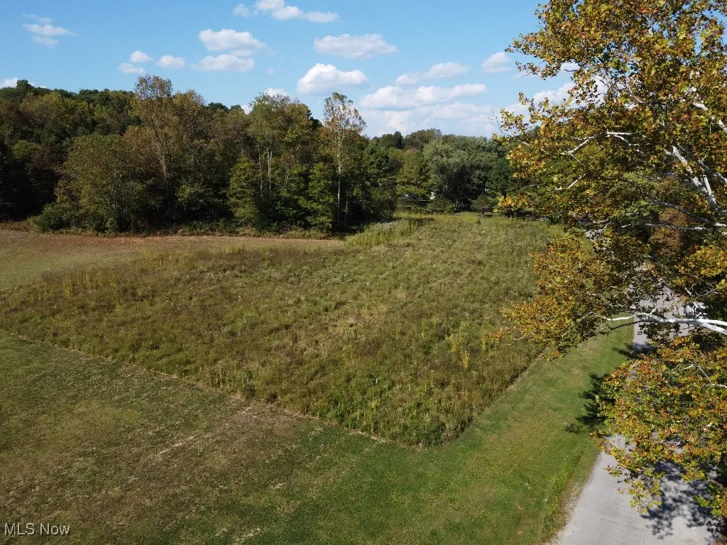 View of undeveloped land