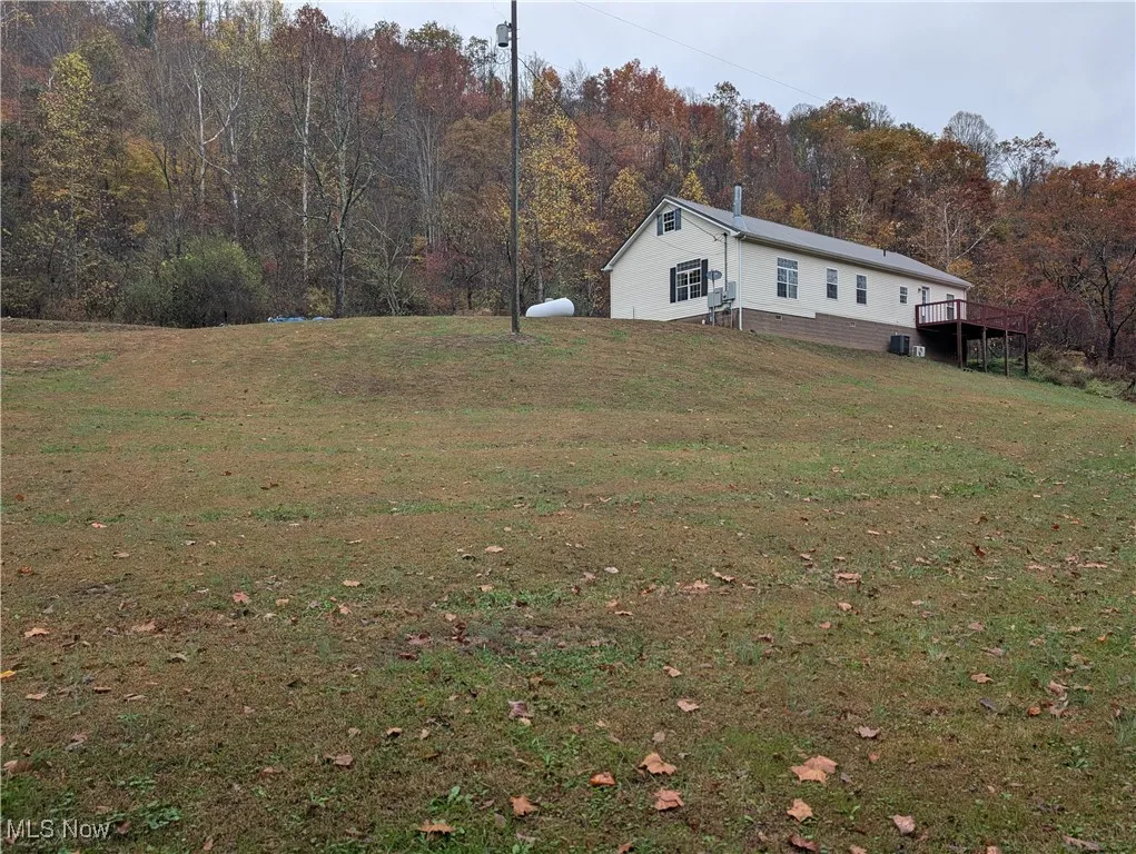 98 Trace Road, Newton, West Virginia 25266,MLS Now Listing ID