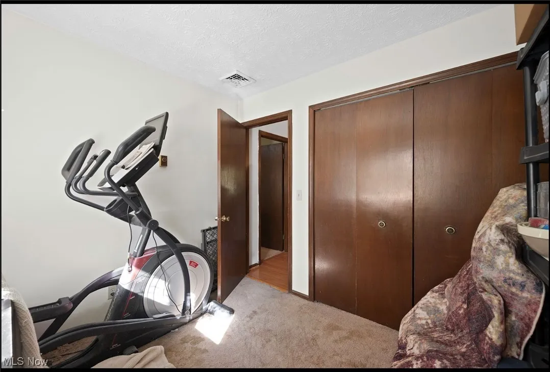 16500 Burrows Road, Thompson, Ohio 44086,MLS Now Listing ID