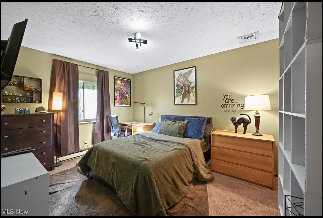 16500 Burrows Road, Thompson, Ohio 44086,MLS Now Listing ID