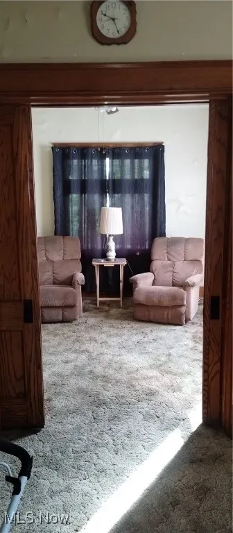 Living room featuring carpet flooring