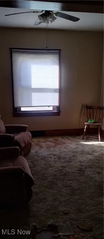 Living area with dark colored carpet and a ceiling fan