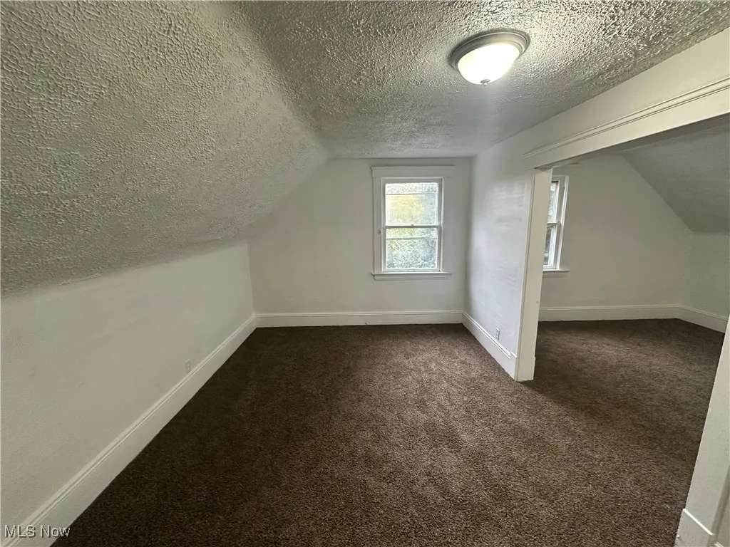 Additional living space featuring dark colored carpet, a textured ceiling, and lofted ceiling