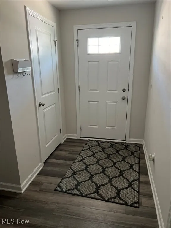 Entrance foyer featuring baseboards and dark wood-style flooring