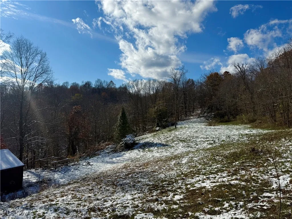 3326 Mount Carmel Ridge Road, St Marys, West Virginia 26170,MLS Now Listing ID