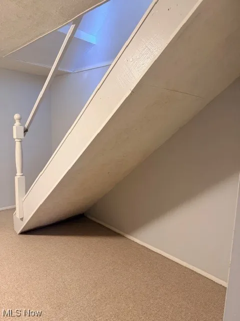 Detailed view of carpet