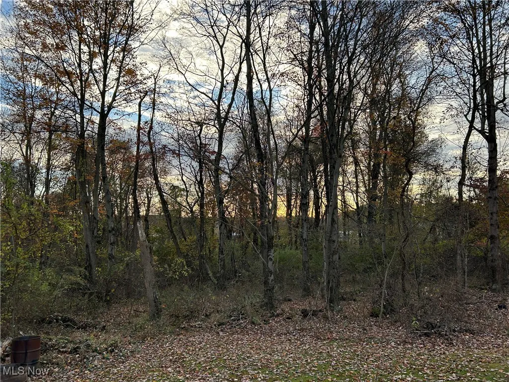 View of undeveloped land