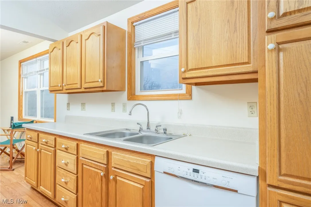 Kitchen with healthy amount of natural light, dishwasher, light countertops, and light wood finished floors