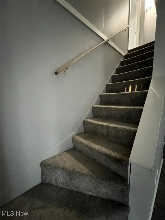Stairs with carpet flooring
