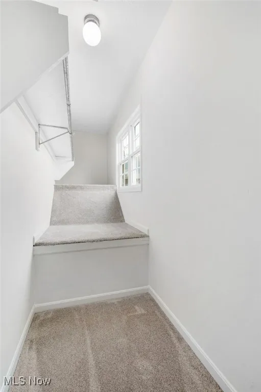 Walk in closet featuring light carpet