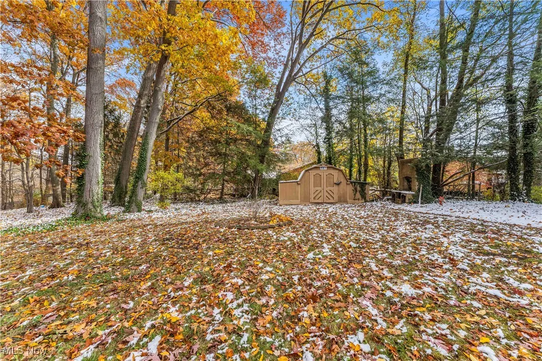 View of yard featuring a storage shed
