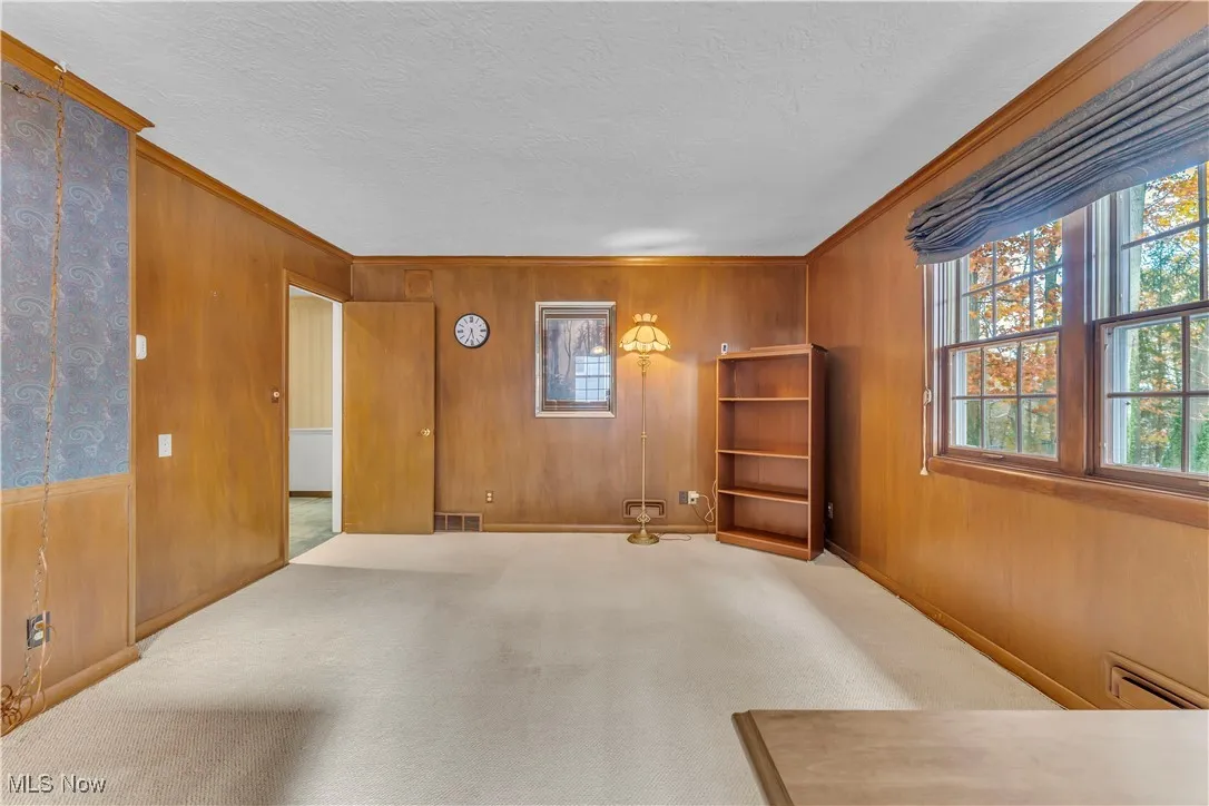 Carpeted empty room featuring ornamental molding, wood walls, a textured ceiling, and a baseboard radiator