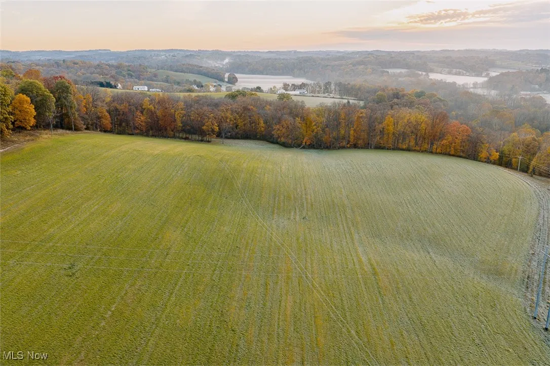 Aerial view at dusk of a view of trees
