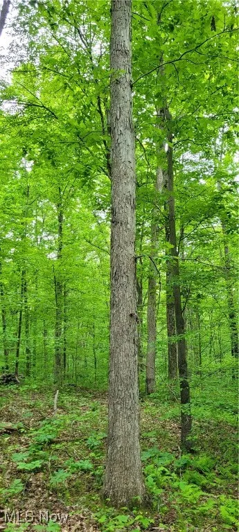 Stockdale Lane, Zanesville, Ohio 43701,MLS Now Listing ID