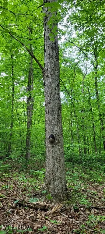 Stockdale Lane, Zanesville, Ohio 43701,MLS Now Listing ID