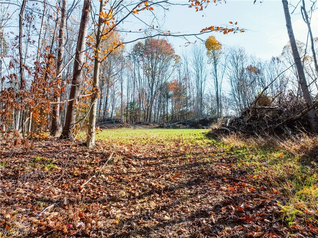 Stockdale Lane, Zanesville, Ohio 43701,MLS Now Listing ID