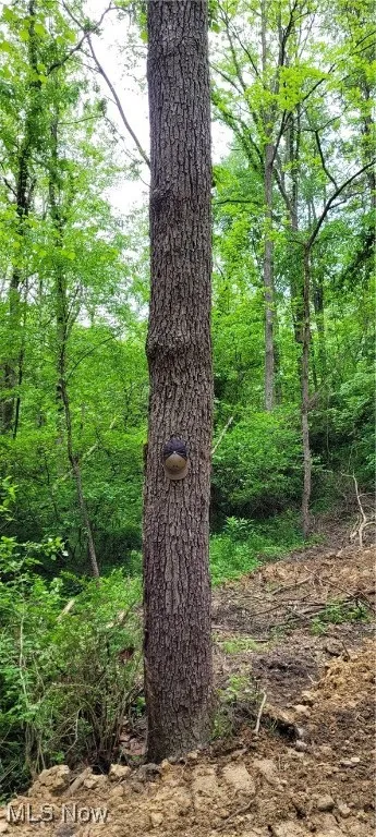 Stockdale Lane, Zanesville, Ohio 43701,MLS Now Listing ID