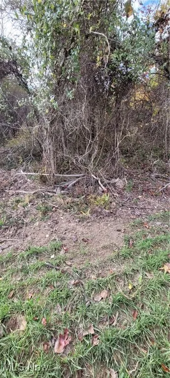 Stockdale Lane, Zanesville, Ohio 43701,MLS Now Listing ID