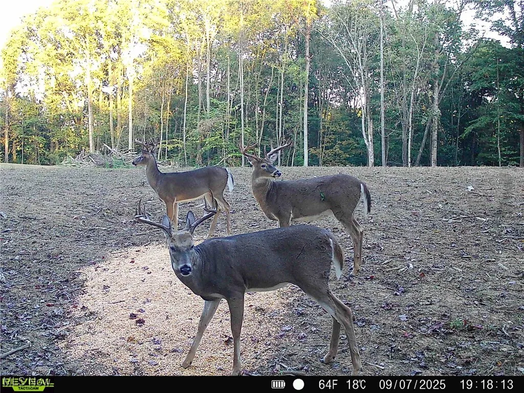 Stockdale Lane, Zanesville, Ohio 43701,MLS Now Listing ID