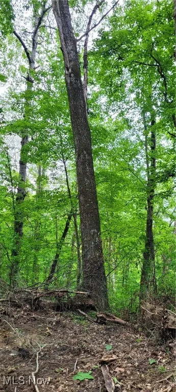 Stockdale Lane, Zanesville, Ohio 43701,MLS Now Listing ID