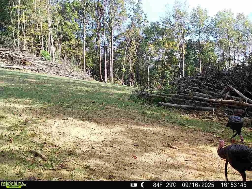 Stockdale Lane, Zanesville, Ohio 43701,MLS Now Listing ID