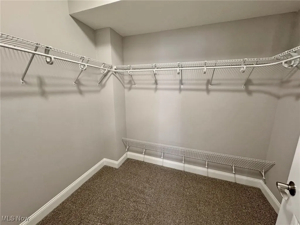 Primary Bedroom Walk in closet