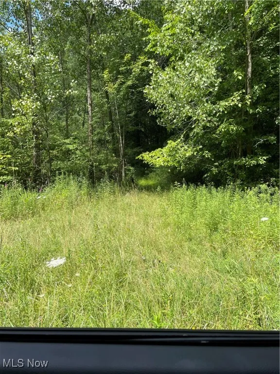 View of undeveloped land