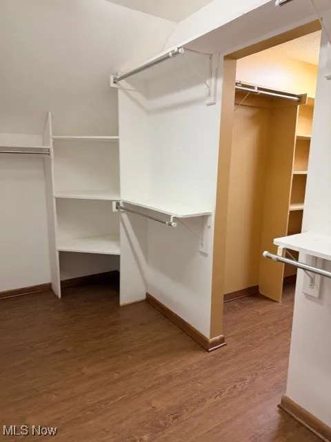 Spacious closet featuring dark wood-style floors