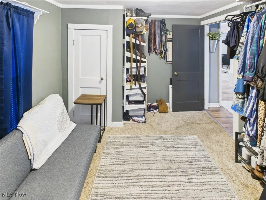 Living area featuring carpet floors and crown molding