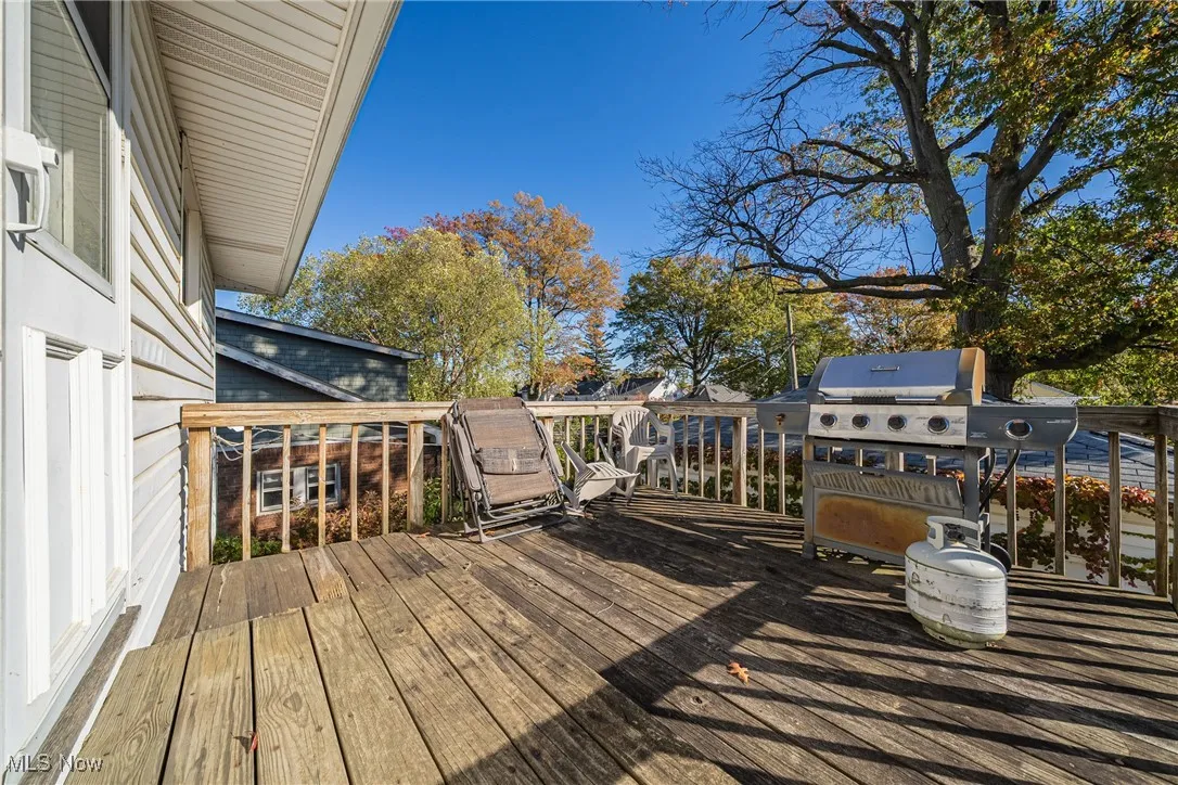 1305 Virginia Avenue, Lakewood, Ohio 44107,MLS Now Listing ID