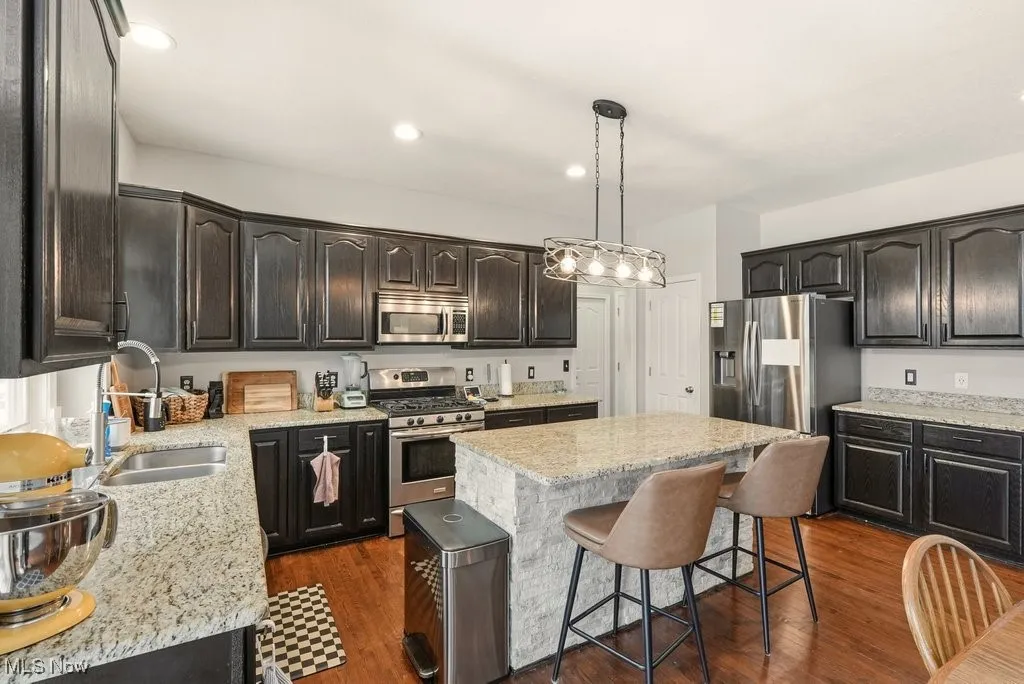 461 Wilson Court, Sagamore Hills, Ohio 44067,MLS Now Listing ID