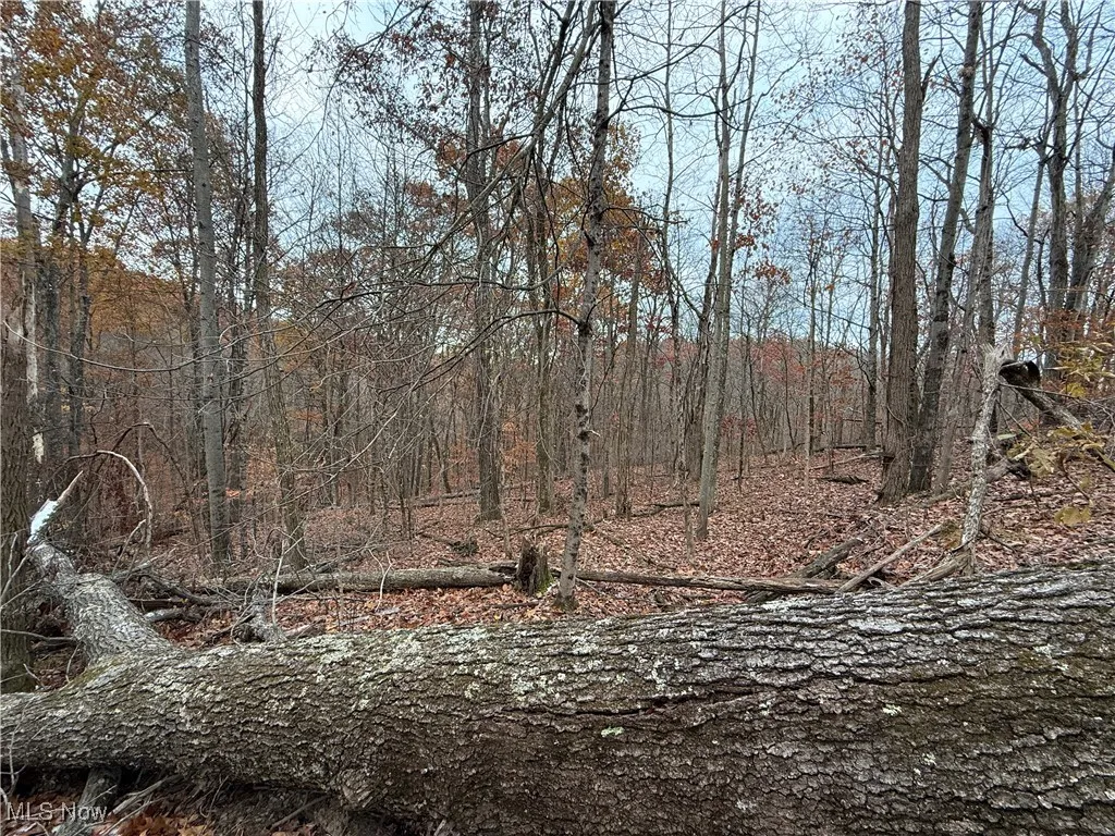 2400 Irish Ridge Road, Philo, Ohio 43771,MLS Now Listing ID