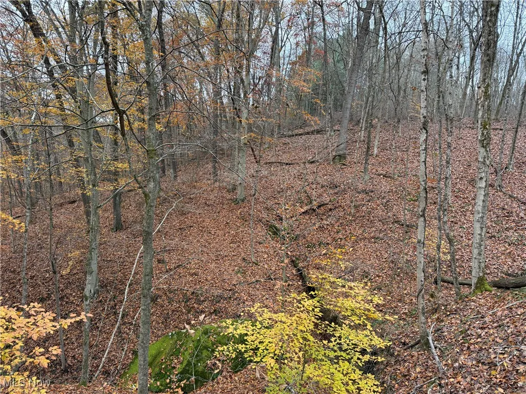 2400 Irish Ridge Road, Philo, Ohio 43771,MLS Now Listing ID