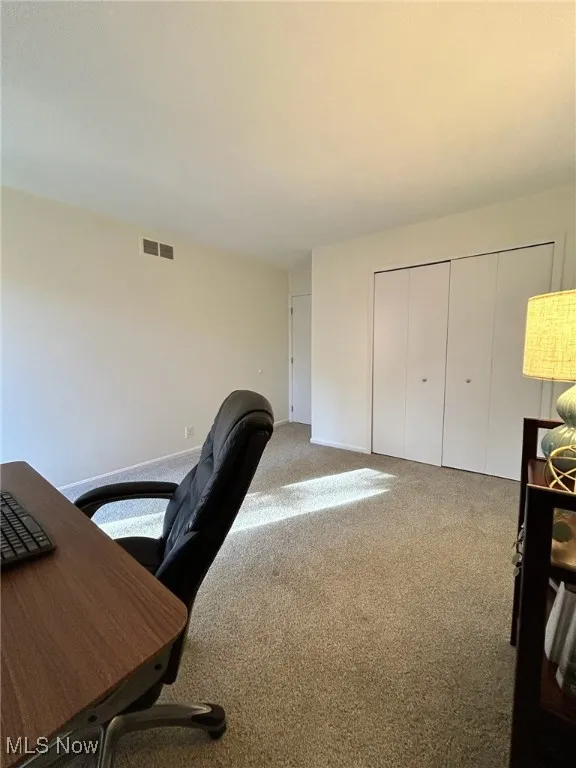 6854 W Fitzwater Road # 29, Brecksville, Ohio 44141,MLS Now Listing ID