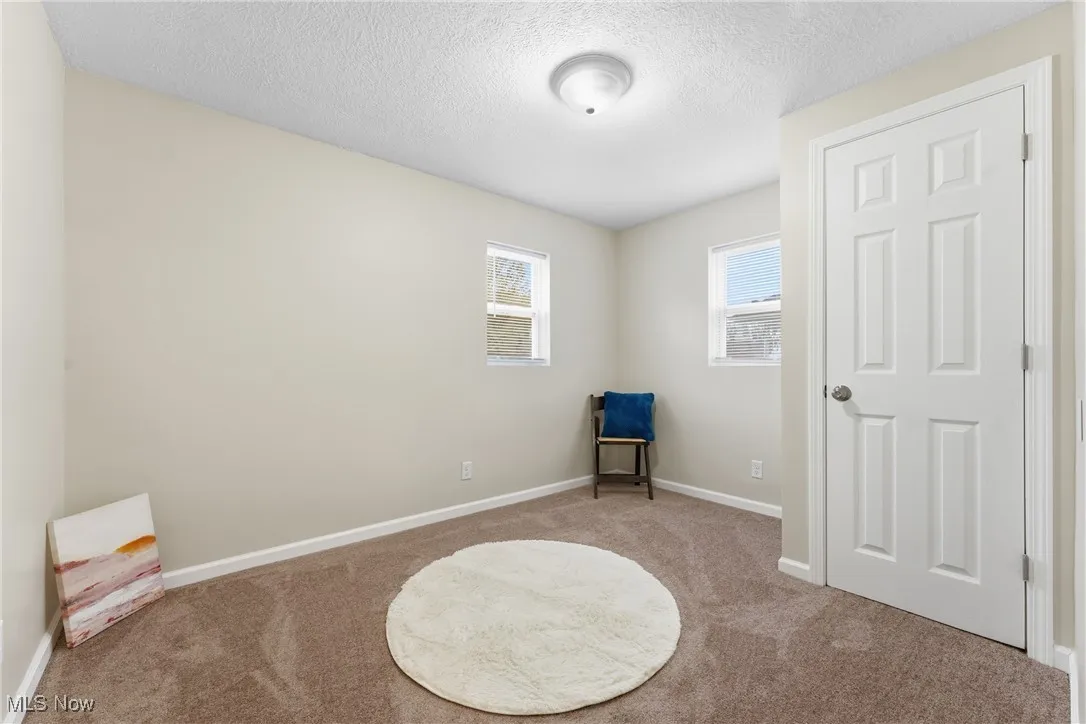 Miscellaneous room featuring carpet flooring and a textured ceiling