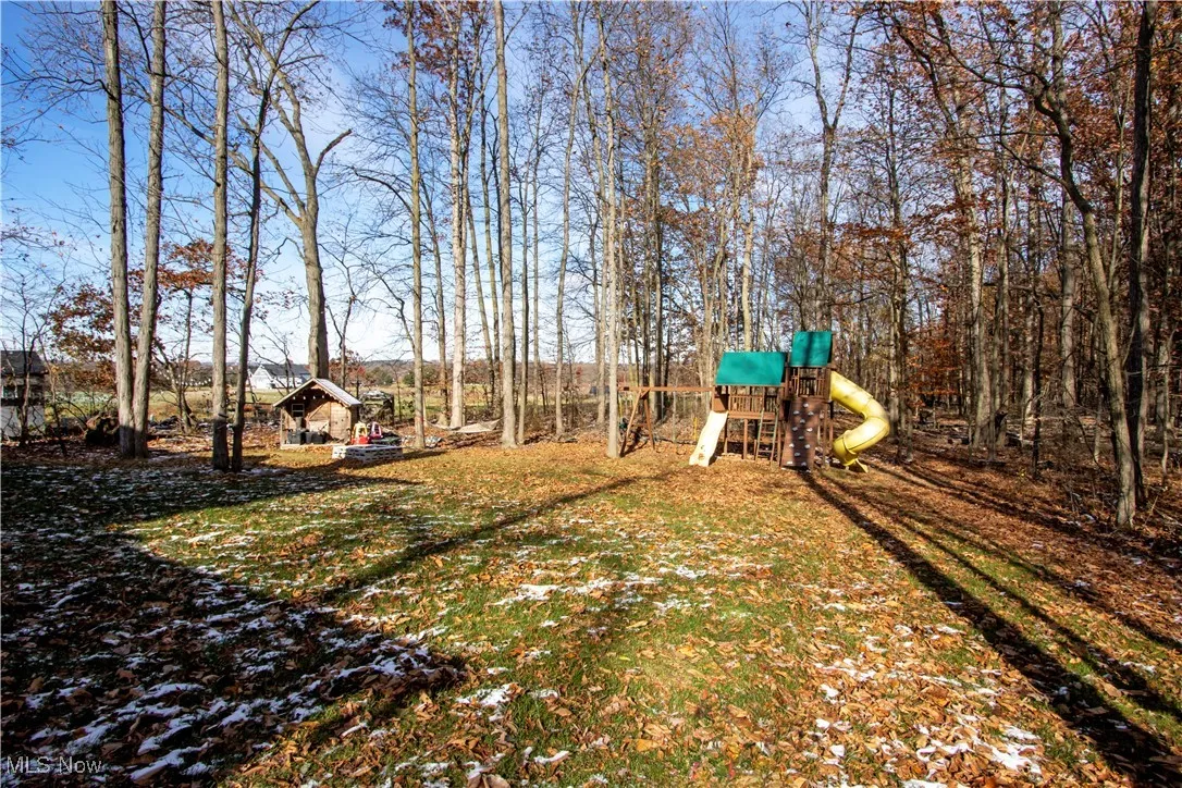 View of green lawn with a playground