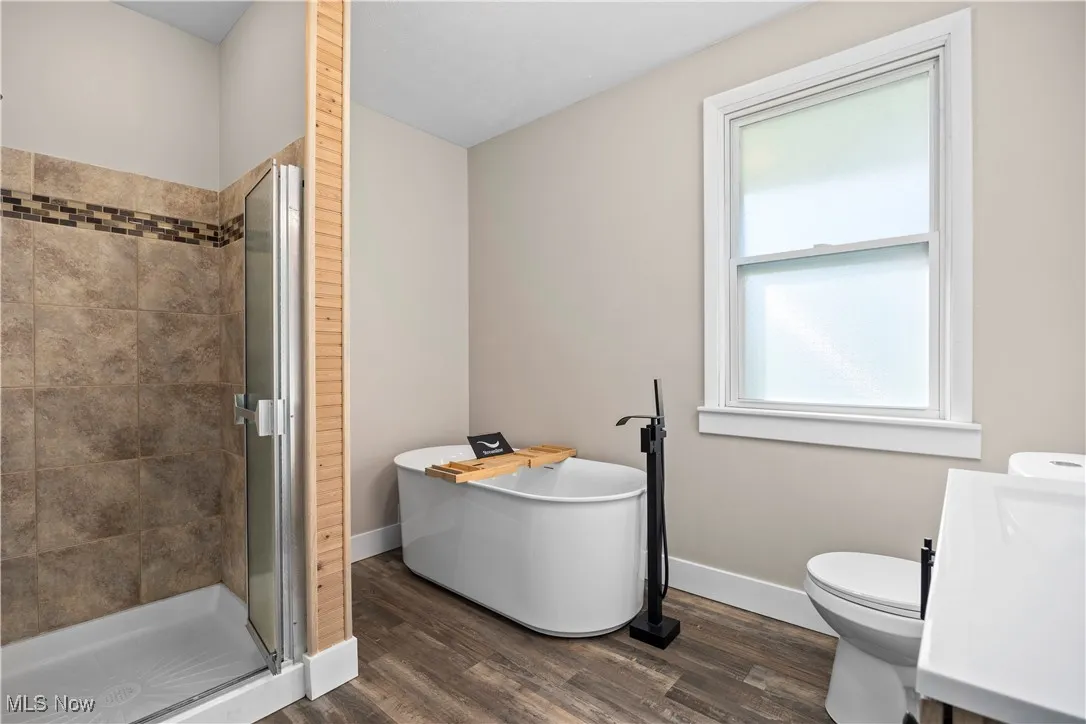Bathroom featuring vanity, a soaking tub, a stall shower, and dark wood-type flooring